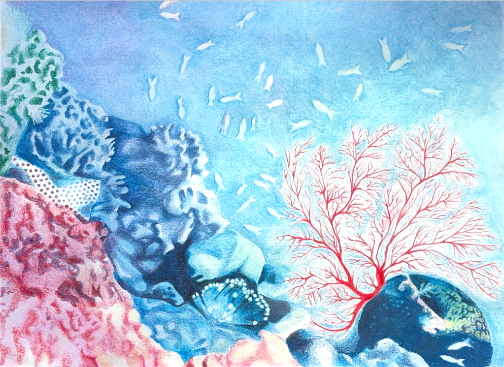 From Ratification to Realisation: Is the High Seas Treaty a Symbolic Act Lacking Operational&nbsp;Reality?